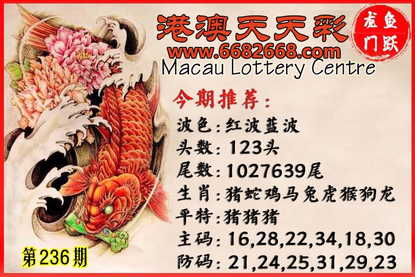 财神手机站